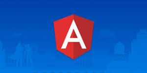 angular framwork expert web developer