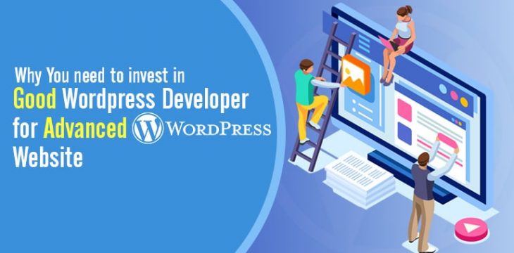 Why You need to invest in Good WordPress Developer for Advanced WordPress Website